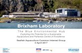 Brixham Laboratory - Seafish€¦ · Brixham Laboratory . Exploiting the Potential for a Sustainable Aquaculture and Fisheries Centre of Excellence . Seafish Aquaculture Common Interest