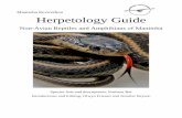 Manitoba Envirothon Herpetology Guide · incomplete and inaccurate, as crocodilians and turtles are more closely related birds (aves) than other reptilians (e.g., lizards and snakes