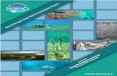 BOBLME-2009-Ecology-01 · BOBLME-2009-Ecology-01. ii . ... hilsa (Tenualosa ilisha), has a considerable association with the GB system. The marine populations of hilsa migrate - considerable