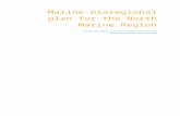 Marine bioregional plan for the North Marine Regionenvironment.gov.au/.../files/north-marine-plan.docx  · Web viewIt provides a globally important stronghold for threatened species