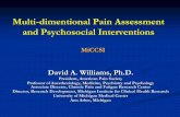 Multi-dimentional Pain Assessment and Psychosocial ......Multi-dimentional Pain Assessment and Psychosocial Interventions MiCCSI David A. Williams, Ph.D. President, American Pain Society