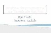 Objet d’étude : La parole en spectaclelettres-histoire-geo.ac-amiens.fr/IMG/pdf/Cecile... · 2012-01-30 · « mise en condition » des téléspectateurs pour être réceptifs