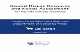 Opioid Misuse Resource and Needs Assessment - …...Opioid Misuse Resource and Needs Assessment for Fayette County, Kentucky Lexington-Fayette Urban County Government Department of