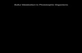 Sulfur Metabolism in Phototrophic Organisms · 2013-07-19 · The Purple Phototrophic Bacteria (Editors: C. Neil Hunter, Fevzi Daldal, Marion Thurnauer and J. Thomas Beatty). About