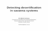 Detecting desertification in savanna systems · 2013-10-24 · Detecting desertification in savanna systems RJ (Bob) Scholes Council for Scientific and Industrial Research Natural