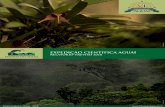EXPEDIÇÃO CIENTÍFICA AGUAÍ · Expedição Cientíﬁca Aguaí está contribuindo trazendo ricas descobertas cientíﬁcas para subsidiar o manejo e a conservação deste importante