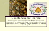 Simple Queen Rearing - Master Beekeepingmasterbeekeeping.com/images/queen_rearing/PCBA... · Simple Queen Rearing Growing your apiary exponentially AND lessening your dependence on