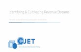 Identifying & Cultivating Revenue Streams · PDF file Crowdfunding. Crowdfunding is a fast-growing sector with many choice of providers including Kickstarter, Indiegogo, , Vourno.com