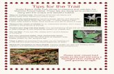 Tips for the Trail - South Carolina Parks Parks Files...Tips for the Trail Myrtle Beach State Park strives to preserve and maintain the Maritime Forest habitat. These tips are designed