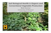 Soil Biological Health in Organic and Conventional ...€¦ · 13 Furthermore, Few Biological Indicators are included in Soil Health Tests - Minimal Routine Analyses and Difficulty