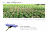 CORE organic II...CORE organic II Benefits of the pro-ject The project outcomes will benefit organic (and conven-tional) vegetable growers as knowledge on systems to manage organic