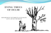DYING TREES OF DELHI - India Water Portal · Delhi Green Facts • Delhi is one of the Greenest Capital Cities in the World. • Green cover of Delhi increased from 22 sq.km in 1993