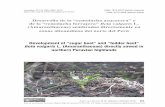 Desarrollo de la “remolacha azucarera” y de la “remolacha … · 2019-02-25 · En la “jalca” y puna, zona ecológica de pradera muy húmeda montana, donde se presentan