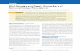 DNA Damage and Repair Biomarkers of Immunotherapy Response€¦ · DNA Damage and Repair Biomarkers of Immunotherapy Response Kent W. Mouw1,2,3, Michael S. Goldberg2,4, Panagiotis
