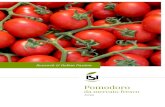Pomodoro - ISI Sementi€¦ · Pomodoro da mercato fresco 2019 Research & Italian Passion. Research & Italian Passion Mettiamo la passione ed il gusto italiano in tutto ciò che facciamo