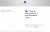 The Single Supervisory Mechanism (SSM) · 01/07/2019  · The Single Supervisory Mechanism (SSM) Patricia Roa Tejero DG Micro-Prudential Supervision IV . ECB Central Banking Seminar