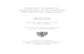 Positive numerical integration of Stochastic Differential Equations · Positive numerical integration of Stochastic Differential Equations Diploma Thesis Christian Kahl Supervisor
