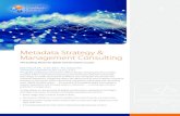 Metadata Strategy & Management Consulting€¦ · Metadata Strategy & Management Consulting The building blocks for digital transformation success METADATA: ... constant shifts in