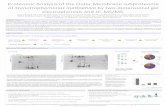Proteomic Analysis of the Outer Membrane subproteome of ...bioinf.uab.cat/xavier/antipathogn/20110905_poster.pdf · The two separation and analysis methods Stenotrophomonas maltophilia