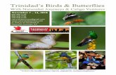Trinidad’s Birds & Butterflies - Caligo Ventures · 2018-08-20 · Trinidad’s Birds & Butterflies With Naturalist Journeys & Caligo Ventures Naturalist Journeys, LLC / Caligo