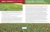 COVER CROPS: Establishment and Termination Guide › sites › default › files › publications › ... · COVER CROPS: Seeding Rates and Planting Depths for Cool-Season Species