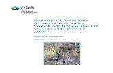 Saproxylic Invertebrate Survey of Wye Valley …...Saproxylic Invertebrate Survey of Wye Valley Woodlands Special Area of Conservation (SAC) in 2018 Keith N. A. Alexander NRW Evidence