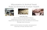 Mycotoxins in Animal Feed: Risks to Animal & Human Health › media › livestocklabifasufledu › pdf... · Mycotoxins reduce animal feed efficiency At mycotoxin doses found in real