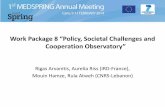 Work Package 8 Policy, Societal Challenges and Cooperation Observatory › sites › default › files › MEDSPRING... · 2019-02-07 · Task 8.1: Identification of Euro-Mediterranean