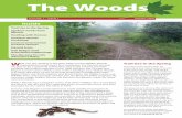 The Woods - Toronto and Region Conservation Authoritytrca.on.ca/dotAsset/47444.pdf · The Woods Glen Major Forest/Walker Woods Stewardship Committee’s newsletter VoluME 1 ... •