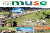 FREE GRATIS themuse - Pinelands Directory › musemag › editions › themuseonline-… · PINELANDS COMMUNITY MAGAZINE issue 95 | May 2019 MILD WINTER CURRY NEW TREES ON THE CANAL