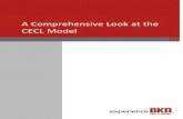 A Comprehensive Look at the CECL Model … · A Comprehensive Look at the CECL Model 3. On June 16, 2016, the Financial Accounting Standards Board (FASB) released the long-awaited