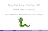 Python Crash Course + Web Forms (CGI)cengiz/CS370-pract-softeng... · ± numbers, strings, tuples of immutables these cannot be changed after creation ± reason is hashing (fast lookup