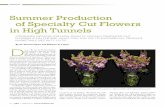 Summer Production of Specialty Cut Flowers in High Tunnels€¦ · cm and stems with damaged or disfigured flowers were deemed unmarketable. what made the cut? Stem and Flower Quality.