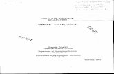WHALE COVE, N.W.T. - University of Calgary in Albertapubs.aina.ucalgary.ca › gran › 33616.pdf · granular resource study Whale Cove, N.W.T. The hamlet of Whale Cove is one of