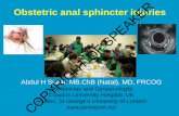 Obstetric anal sphincter injuries - Obstetric anal sphincter injuries Abdul H Sultan MB.ChB (Natal),