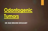 Odontogenic Tumors - minia.edu.eg Tu¢  Odontogenic epithelium with mature, fibrous stroma without odontogenic