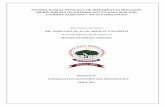 ANTIMICROBIAL EFFICACY OF DIFFERENT INTRACANAL MEDICAMENTS ON ENTEROCOCCUS FAECALIS ... · 2018-12-07 · CERTIFICATE This is to certify that this dissertation titled “Antimicrobial