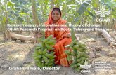 Research design, innovation and theory of change: CGIAR ...gh.caas.cn/docs/2018-07/20180718145637775821.pdf · CGIAR Research Program on Roots, Tubers and Bananas Graham Thiele, Director.