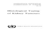 Histological Typing of Kidney Tumours - WHOPreface to Histological typing of kidney tumours . Introduction . Histological classification of kidney tumours Definitions and explanatory
