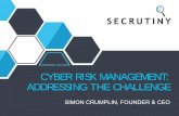 CYBER RISK MANAGEMENT: ADDRESSING THE CHALLENGE · cyber risk management: addressing the challenge simon crumplin, founder & ceo. information security pains ... risk categories