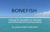 BONEFISHcoffscoastflyfishing.weebly.com/.../bonefish_part_2.pdf · 2018-09-07 · Rods & Lines For Bonefish: 6, 7 or 8 wt rods (I used a 7wt most of the time) Bonefish taper floating