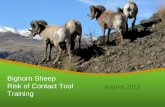 Bighorn Sheep Risk of Contact Tool August 2012 Training · 2017-11-06 · bighorn sheep viability analysis for the Payette NF • Requires amendment Forest Plan to add direction that