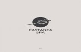 CASTANEA SPA - Unterwirt · new method to make the skin of your face firmer and brighter, giving it a fresher and more youthful look. Ultrasonic frequencies enable natural, active