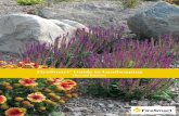 FireSmart Guide to Landscaping · Delosperma cooperi Ice Plant - Purple 5 fs-psh 2.5 - 10 cm Delosperma nubigenum Ice Plant - Yellow 4 fs-psh 2.5 - 7.5 cm Delphinium sp. Delphinium