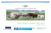 Ireland s rare breeds - NRN · Rare breeds are a breed of livestock or poultry that have a very small breeding population left. ... After the war Ireland’s farmers sought to become