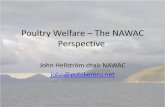 Poultry Welfare The NAWAC Perspective · What is animal welfare? • the absence of, or freedom from, pain and suffering (anxiety, fear, pain and distress) and sometimes the presence