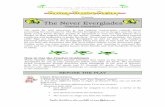 The Never Everglades - Amazon S3SC.4.L.16.Su.a Recognize that many flowering plants grow from their own seeds. SC.4.L.17.In.b Recognize that animals cannot make their own food and