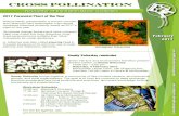 Cross Pollination 2017-02 · 02-02-2017  · Cross Pollination m m February 2017 2017 Perennial Plant of the Year With butterfly conservation a current concern, the Perennial Plant