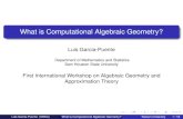 What is Computational Algebraic Geometry? · Luis Garcia-Puente (SHSU) What is Computational Algebraic Geometry? Towson University 2 / 18. Planar Curves The graph of the function
