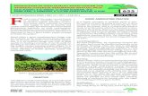 PRODUCTION OF HIGH QUALITY KENAF FODDER …palmoilis.mpob.gov.my/publications/TOT/TT547.pdfMPOB INFORMATION SERIES • ISSN 1511-7871 • JUNE 2014 MPOB TT No. 547 PRODUCTION OF HIGH